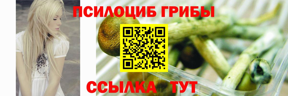 наркошоп  Галлюциногенные грибы Psilocybe  Вход с VPN  Лабытнанги 